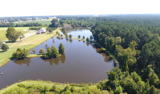 Photo #5 of 686 N. Broadridge Rd, Orrum, NC 24.0 acres