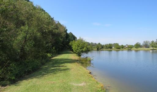 Photo #9 of 686 N. Broadridge Rd, Orrum, NC 24.0 acres