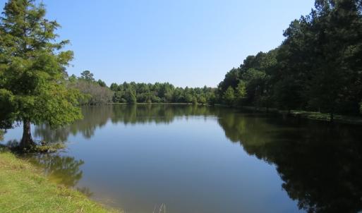Photo #48 of 686 N. Broadridge Rd, Orrum, NC 24.0 acres