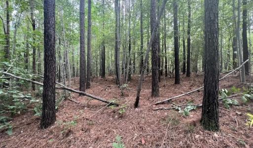 Photo #9 of SOLD property in 1055 Barker Road , Oxford, NC 13.2 acres
