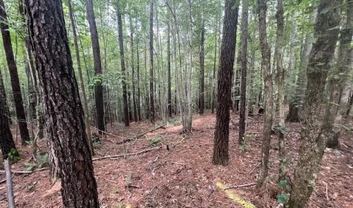 Photo #10 of SOLD property in 1055 Barker Road , Oxford, NC 13.2 acres