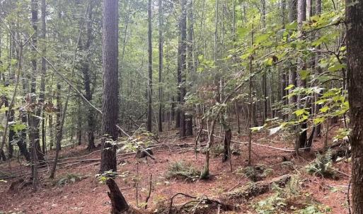 Photo #11 of SOLD property in 1055 Barker Road , Oxford, NC 13.2 acres
