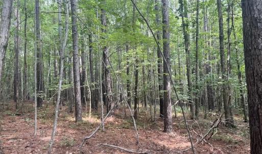 Photo #12 of SOLD property in 1055 Barker Road , Oxford, NC 13.2 acres