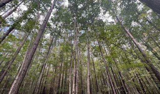 Photo #14 of SOLD property in 1055 Barker Road , Oxford, NC 13.2 acres