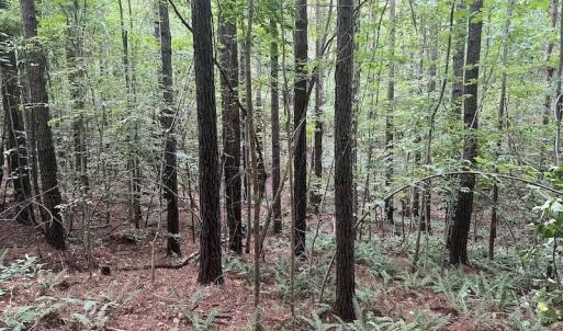 Photo #15 of SOLD property in 1055 Barker Road , Oxford, NC 13.2 acres