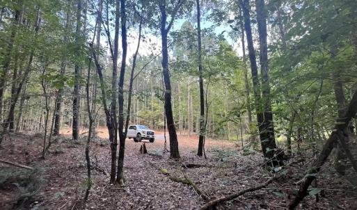 Photo #16 of 1055 Barker Road , Oxford, NC 13.2 acres