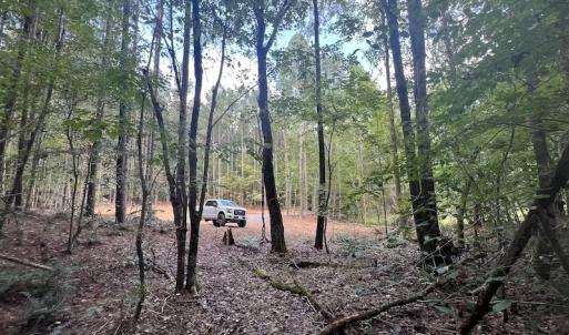 Photo #16 of SOLD property in 1055 Barker Road , Oxford, NC 13.2 acres