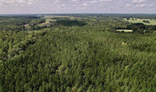 Photo #18 of SOLD property in 1055 Barker Road , Oxford, NC 13.2 acres