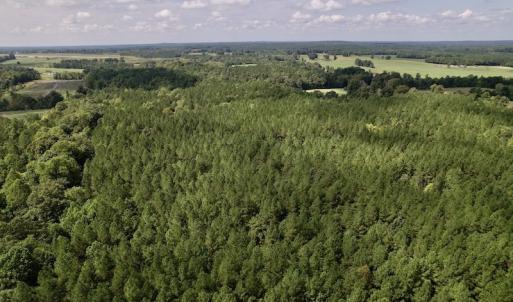 Photo #19 of SOLD property in 1055 Barker Road , Oxford, NC 13.2 acres