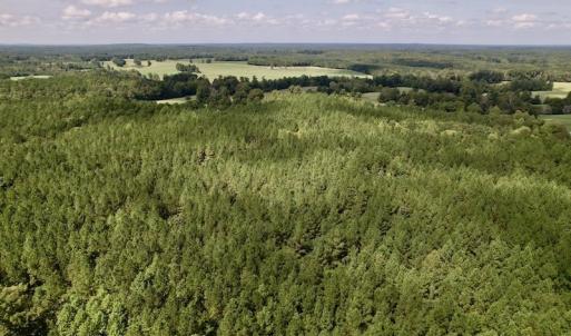 Photo #20 of SOLD property in 1055 Barker Road , Oxford, NC 13.2 acres