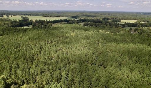 Photo #21 of SOLD property in 1055 Barker Road , Oxford, NC 13.2 acres