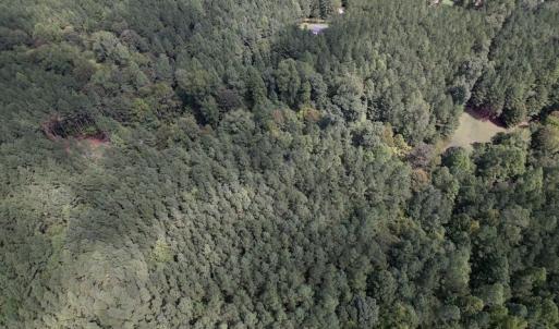 Photo #23 of SOLD property in 1055 Barker Road , Oxford, NC 13.2 acres