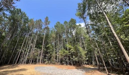 Photo #27 of 1055 Barker Road , Oxford, NC 13.2 acres