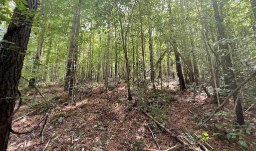 Photo #3 of SOLD property in 1055 Barker Road , Oxford, NC 13.2 acres