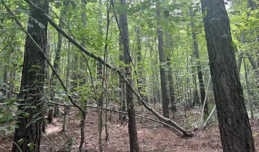 Photo #4 of SOLD property in 1055 Barker Road , Oxford, NC 13.2 acres