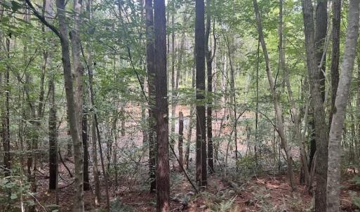 Photo #5 of SOLD property in 1055 Barker Road , Oxford, NC 13.2 acres