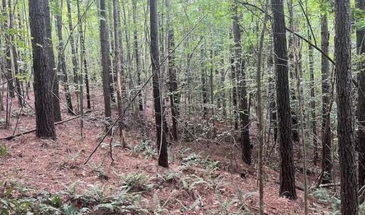 Photo #6 of SOLD property in 1055 Barker Road , Oxford, NC 13.2 acres