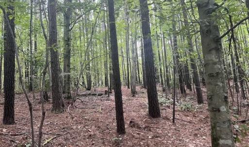 Photo #7 of SOLD property in 1055 Barker Road , Oxford, NC 13.2 acres