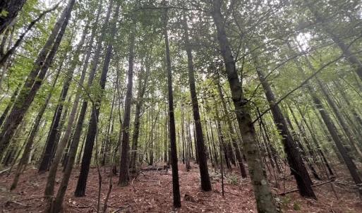 Photo #8 of SOLD property in 1055 Barker Road , Oxford, NC 13.2 acres