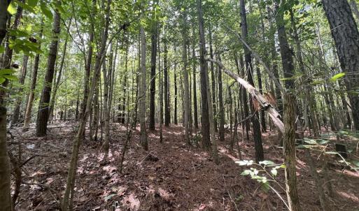 Photo #9 of 1055 Barker Road , Oxford, NC 13.2 acres