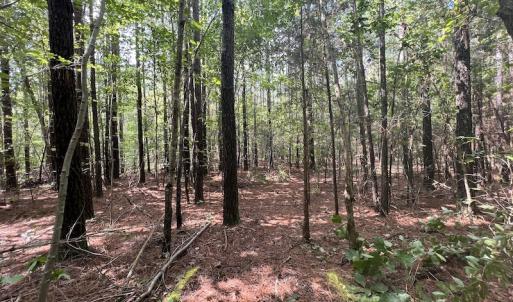 Photo #10 of 1055 Barker Road , Oxford, NC 13.2 acres
