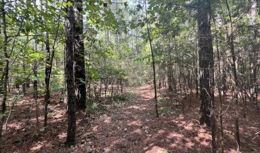 Photo #11 of 1055 Barker Road , Oxford, NC 13.2 acres
