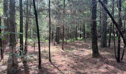Photo #12 of 1055 Barker Road , Oxford, NC 13.2 acres