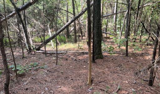 Photo #13 of 1055 Barker Road , Oxford, NC 13.2 acres