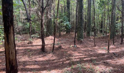 Photo #14 of 1055 Barker Road , Oxford, NC 13.2 acres