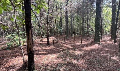 Photo #15 of 1055 Barker Road , Oxford, NC 13.2 acres