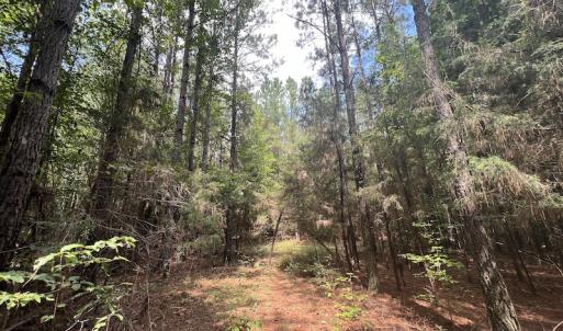 Photo #16 of 1055 Barker Road , Oxford, NC 13.2 acres