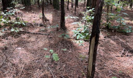 Photo #17 of 1055 Barker Road , Oxford, NC 13.2 acres
