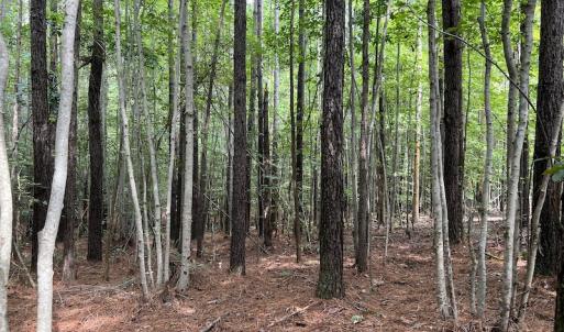 Photo #19 of 1055 Barker Road , Oxford, NC 13.2 acres