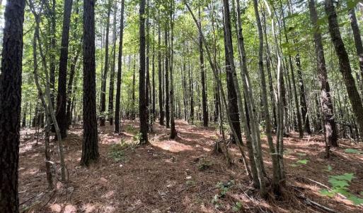 Photo #4 of 1055 Barker Road , Oxford, NC 13.2 acres