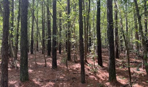 Photo #5 of 1055 Barker Road , Oxford, NC 13.2 acres