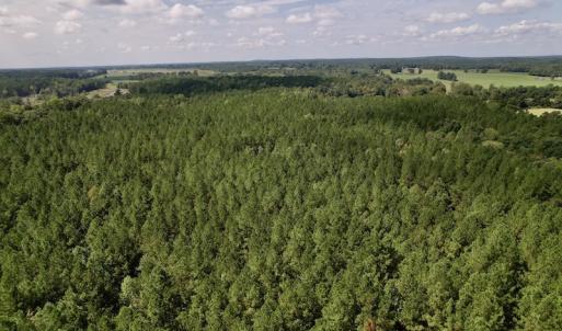 Photo #22 of 1055 Barker Road , Oxford, NC 13.2 acres