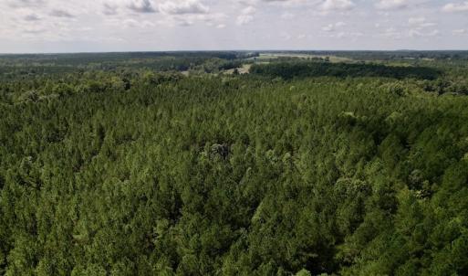 Photo #23 of 1055 Barker Road , Oxford, NC 13.2 acres