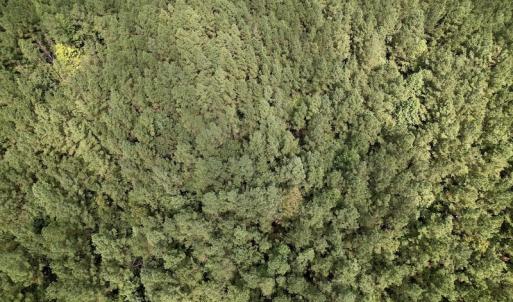 Photo #26 of 1055 Barker Road , Oxford, NC 13.2 acres