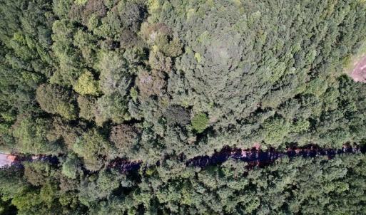Photo #29 of 1055 Barker Road , Oxford, NC 13.2 acres