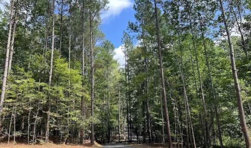 Photo #35 of 1055 Barker Road , Oxford, NC 13.2 acres