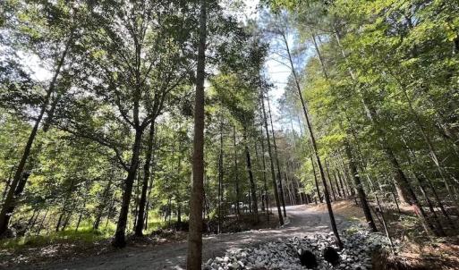 Photo #41 of 1055 Barker Road , Oxford, NC 13.2 acres