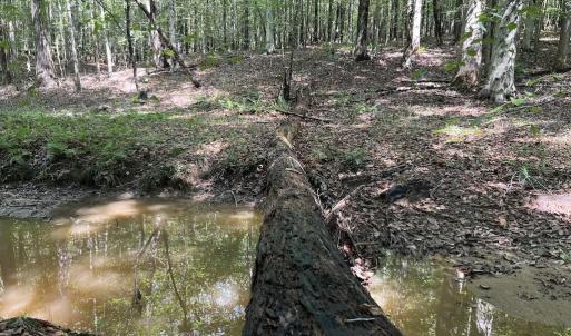 Photo #9 of SOLD property in 1055 Barker Road , Oxford, NC 13.2 acres