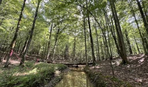 Photo #12 of SOLD property in 1055 Barker Road , Oxford, NC 13.2 acres