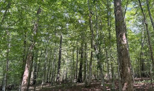 Photo #15 of SOLD property in 1055 Barker Road , Oxford, NC 13.2 acres