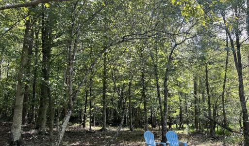 Photo #19 of SOLD property in 1055 Barker Road , Oxford, NC 13.2 acres