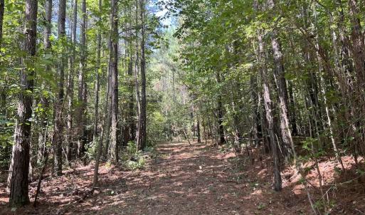 Photo #4 of 1055 Barker Road , Oxford, NC 13.2 acres