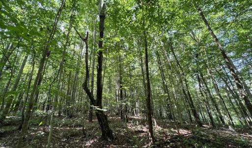 Photo #5 of SOLD property in 1055 Barker Road , Oxford, NC 13.2 acres