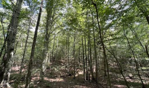 Photo #6 of SOLD property in 1055 Barker Road , Oxford, NC 13.2 acres
