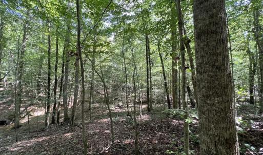 Photo #7 of SOLD property in 1055 Barker Road , Oxford, NC 13.2 acres