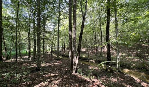 Photo #8 of SOLD property in 1055 Barker Road , Oxford, NC 13.2 acres